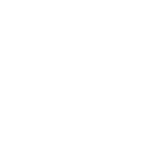 RT100 ANDROID-OS