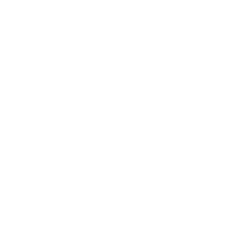 RD-10W2-IC LCD