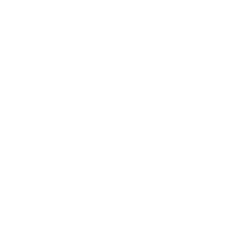 IB909 SSD